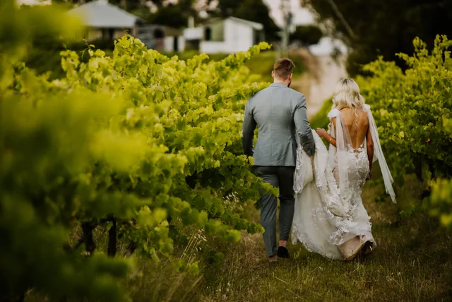 Bride and groom walking away down a vine row
