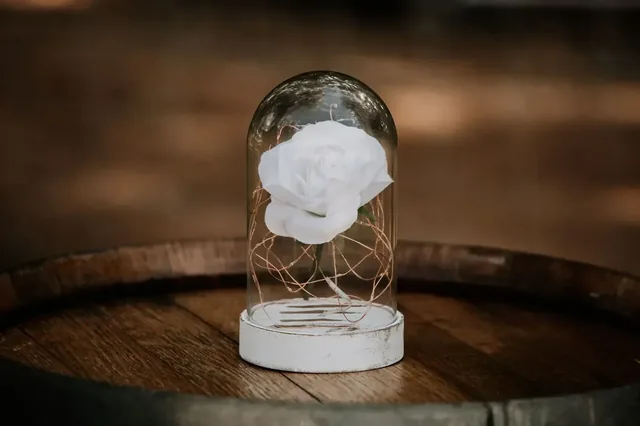 A preserved white rose under glass on a wine barrel