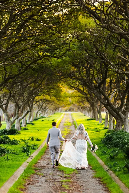 Two brides walking away down the tree avenue at Quarry Farm