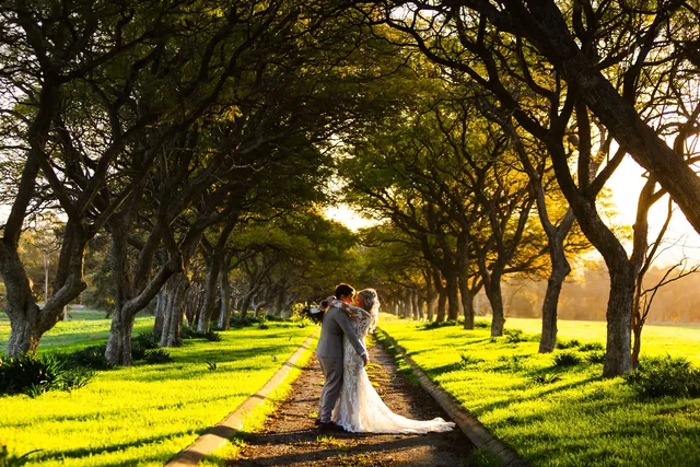 Two brides kissing in the tree avenue, long shadows across the grass
