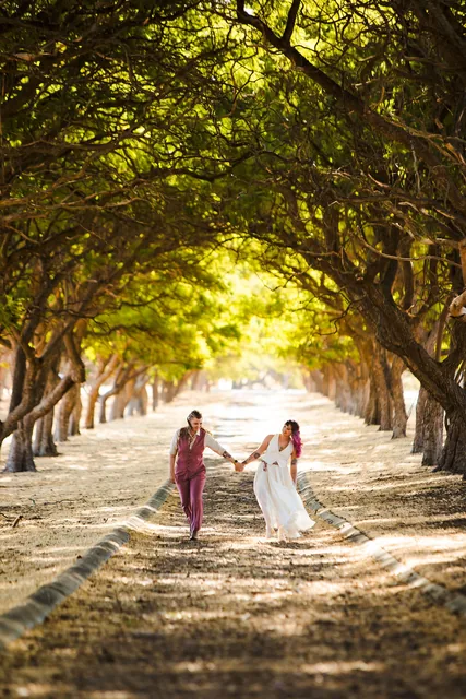 Two brides hand in hand beneath the avenue at Quarry Farm