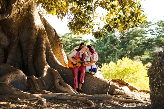 Music under the enormous wild fig at Quarry Farm
