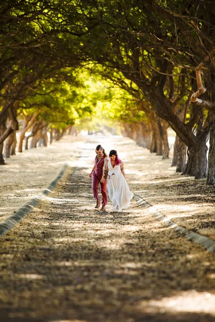 Two brides far down the tree avenue, light coming through the canopy